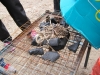 daycamp_20110428_22