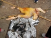 daycamp_20110428_32