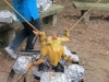 daycamp_20110428_35