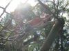 summercamp2011_20110820_108