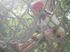 summercamp2011_20110820_111
