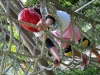 summercamp2011_20110820_116