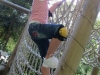 summercamp2011_20110820_119