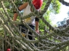 summercamp2011_20110820_135