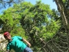 summercamp2011_20110820_144