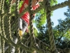 summercamp2011_20110820_146