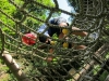 summercamp2011_20110820_156